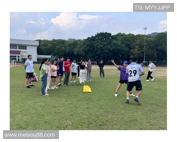 飞盘竞技的魅力与挑战：深入探讨深圳飞盘队的战术与团队协作