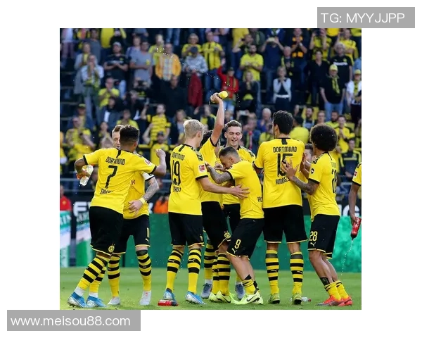 德甲激战：多特蒙德与国米平局红牌争议引发全场热议